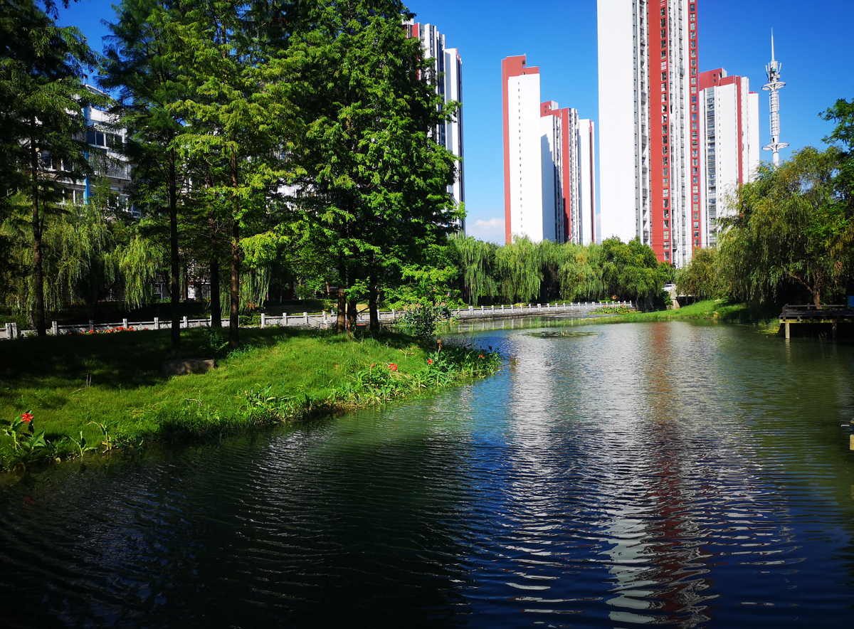 薛家鎮(zhèn)區(qū)域水環(huán)境綜合整治項目(中央資金項目)