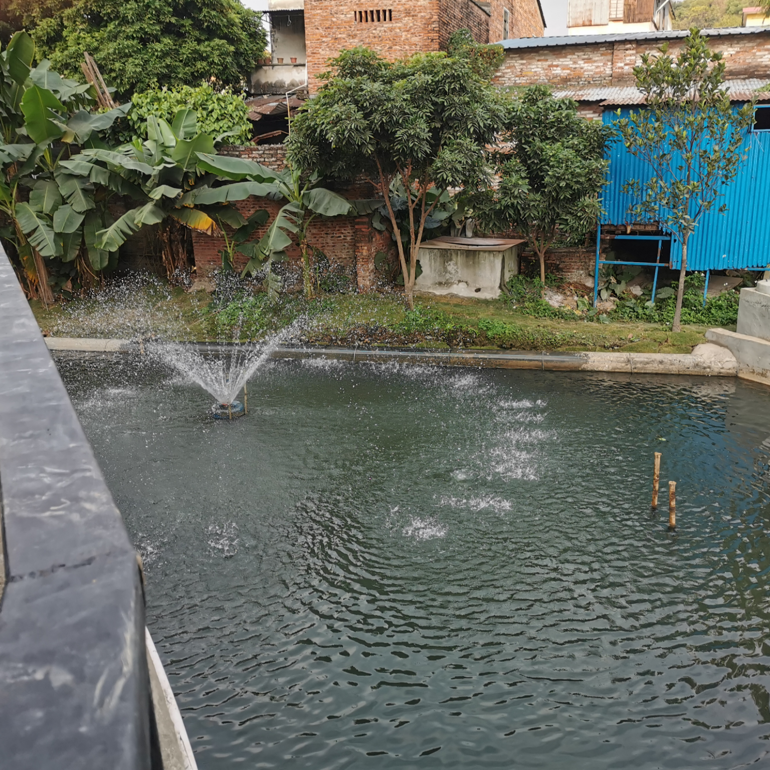 維爾利助力順德打贏黑臭水體攻堅戰(zhàn)