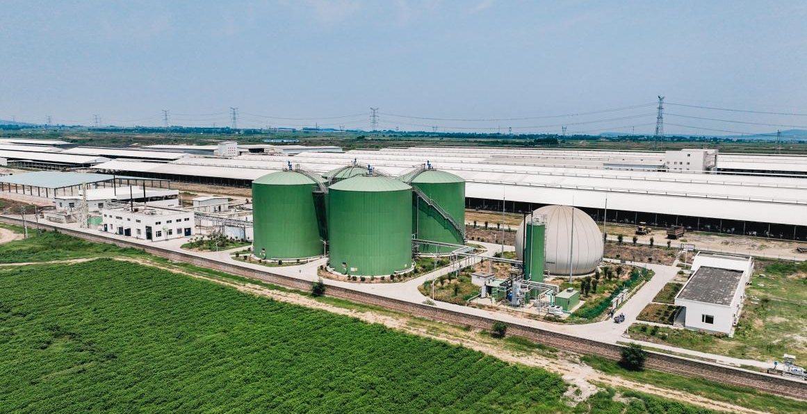 大中小型牧場(chǎng)有機(jī)物糞污處理資源化整體解決方案